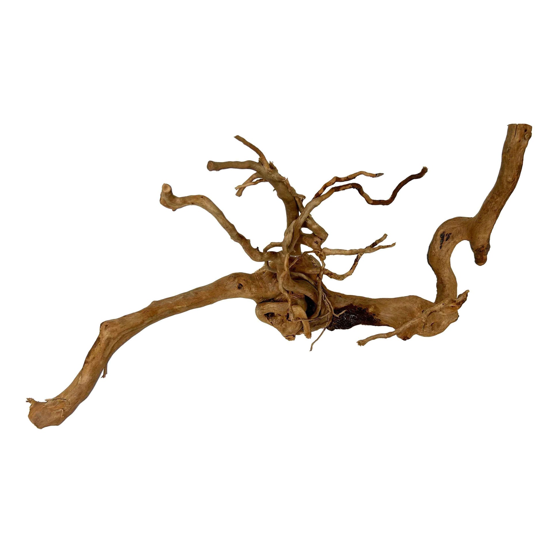 Boon Aqua Deco Spiderwood