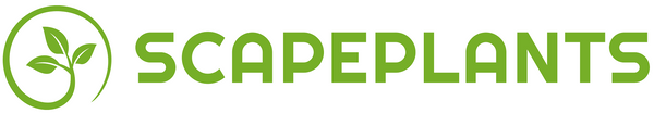 Scapeplants Logo